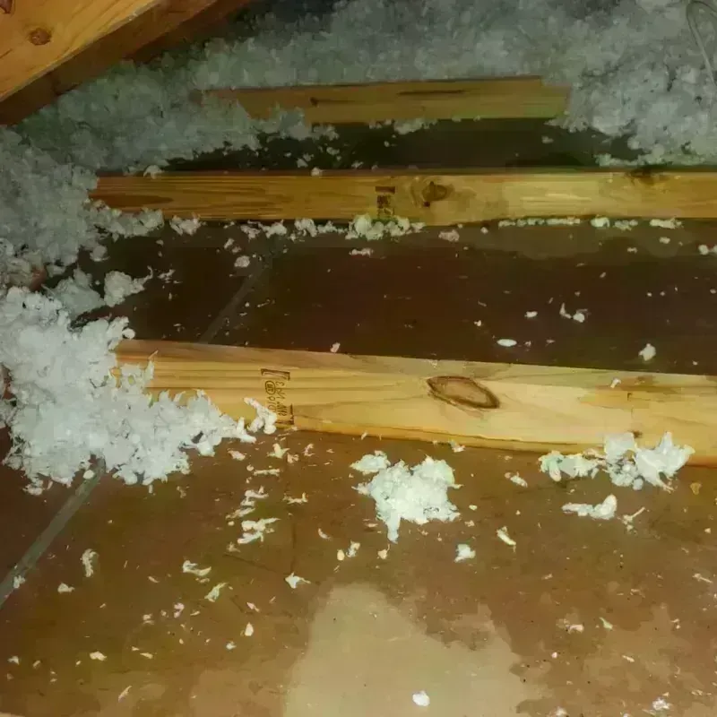 Attic Water Damage in Lakeshore, LA