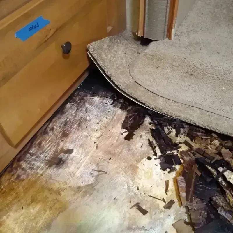 Best Wood Floor Water Damage Service in Lakeshore, LA